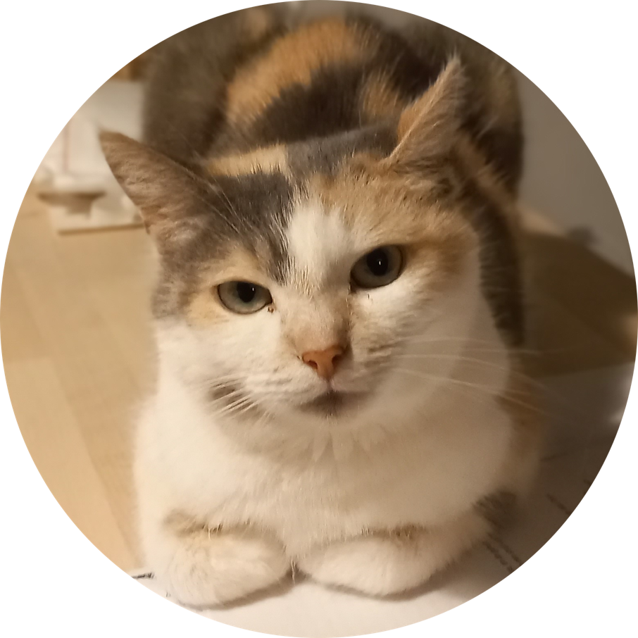 A tricolor cat is laying on a table