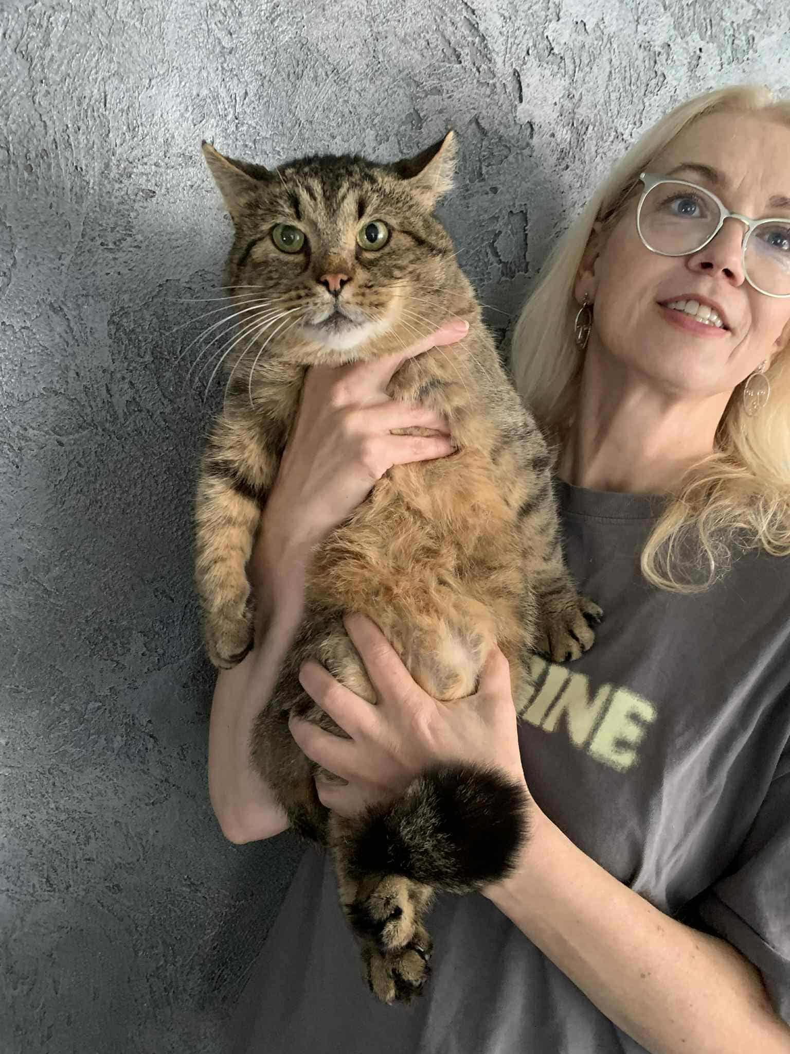A giant tabby cat is being held and wants to be anywhere else