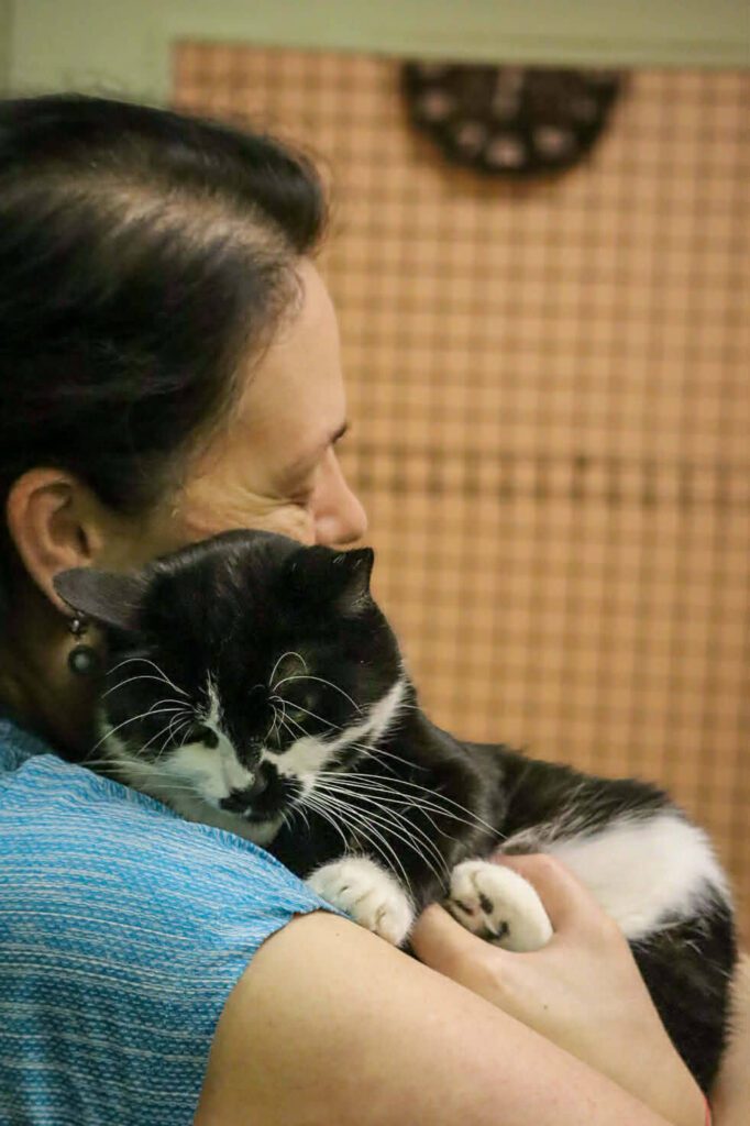 A black and white cat is snuggling a person