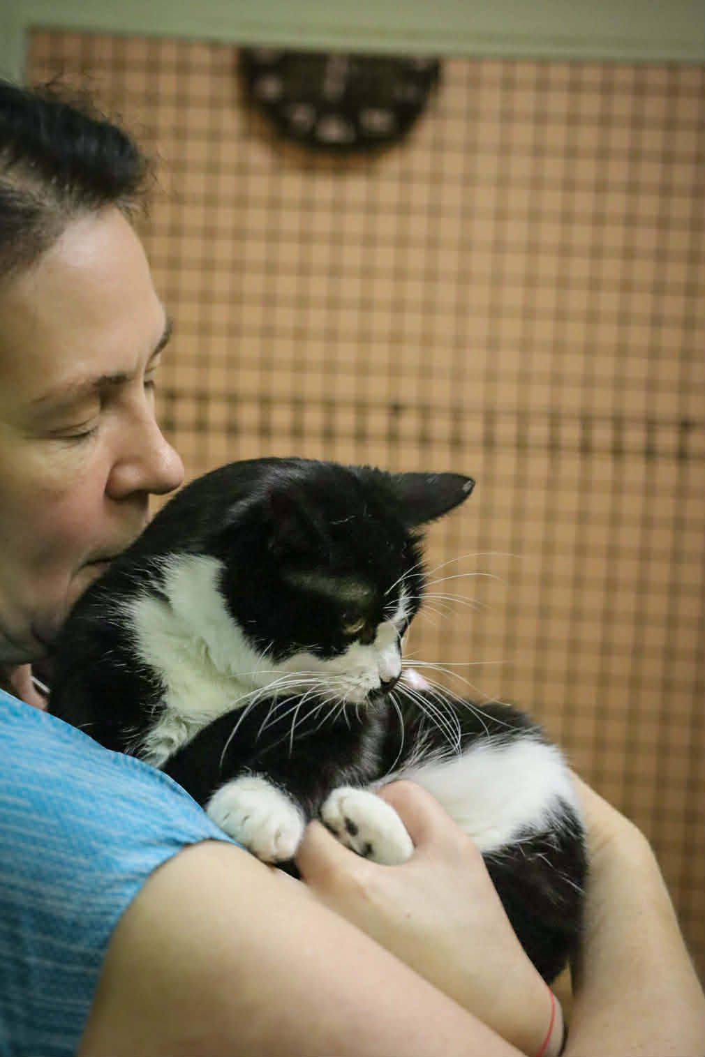 A person is holding a black and white cat
