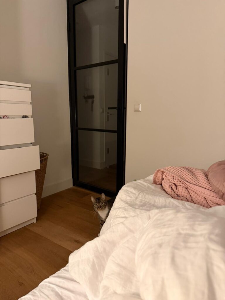 a tabby cat is hiding behind a bed