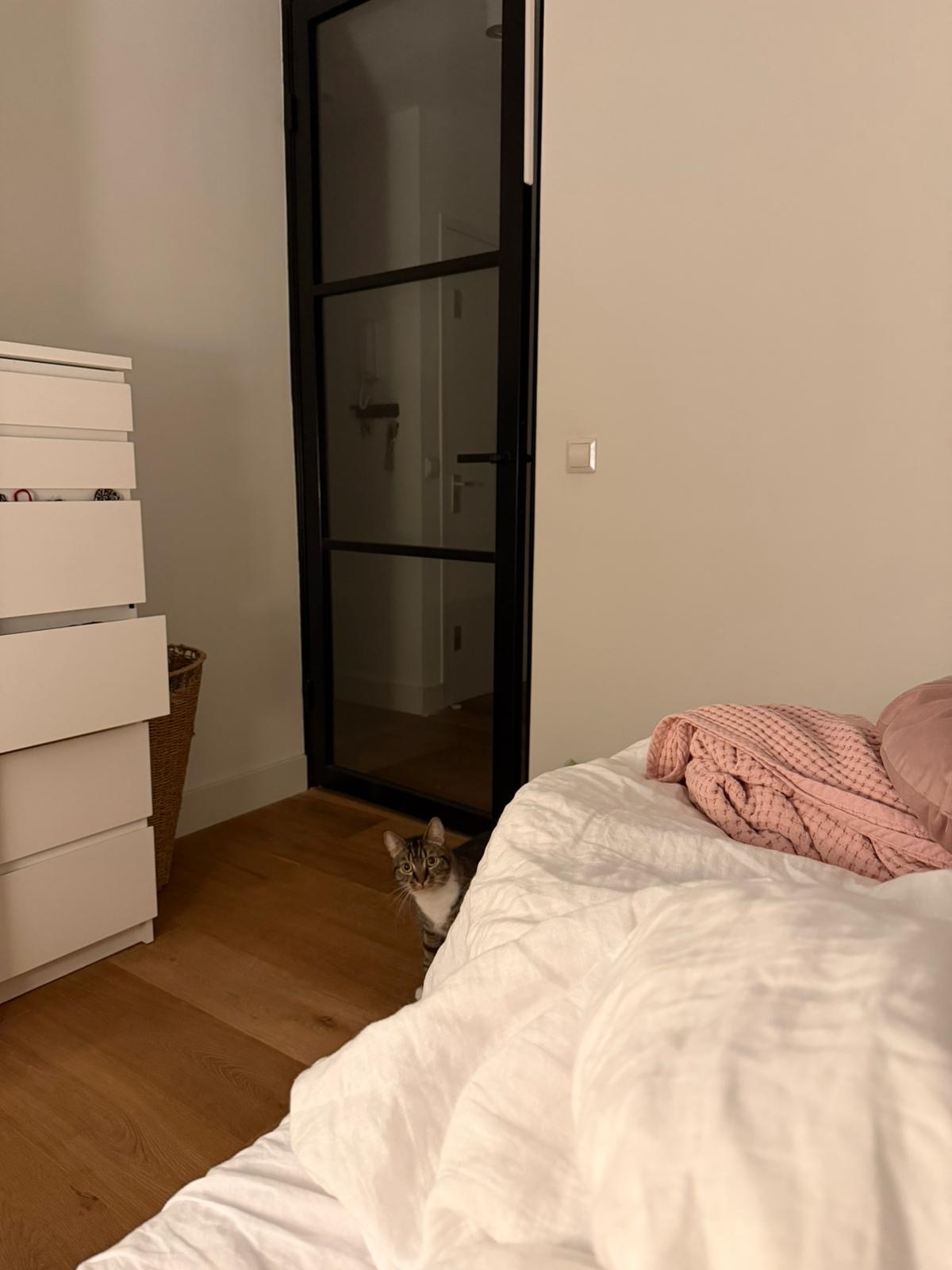 a tabby cat is hiding behind a bed