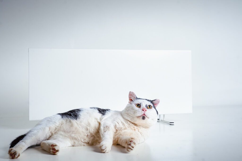 A black and white cat with a white spot on his chin is lounging in front of a white space heater