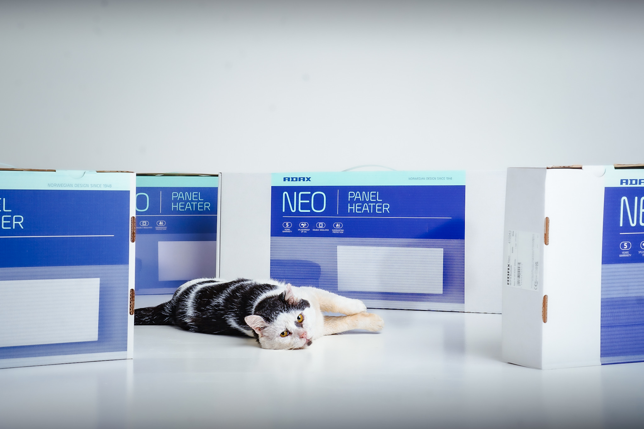 A black and white cat is laying in front of boxes of space heaters