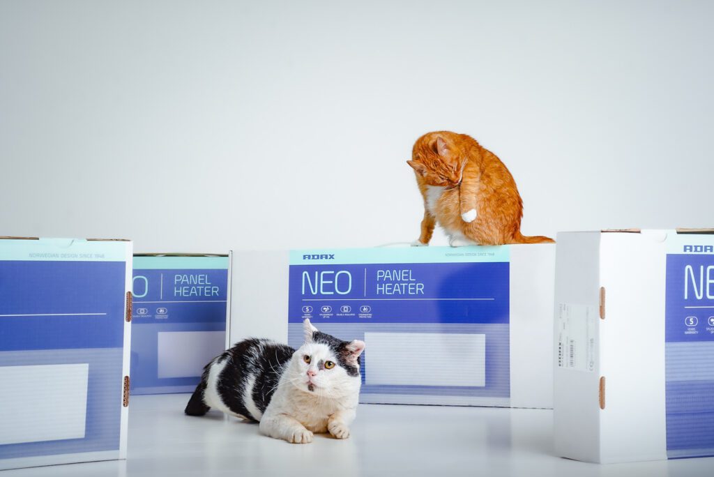 A black and white cat is sitting in front of boxes of space heaters. There is an orange cat on top of the heaters