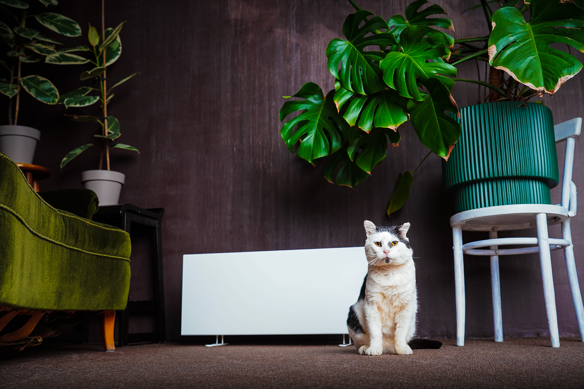 A black and white cat is sitting in front of a heater